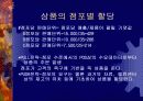 매입시스템 13페이지