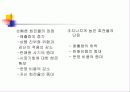 상품 구색 계획 6페이지
