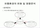 이마트 사례연구 7페이지