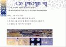 점포배치 및 설계와 시각 머천다이징 8페이지