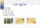점포배치 및 설계와 시각 머천다이징 12페이지