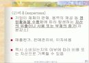 회계시스템의 기본구조 20페이지