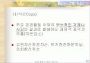 회계시스템의 기본구조 22페이지