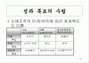 재무전략 19페이지