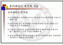 유비쿼터스 항공 보안 3페이지