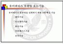 유비쿼터스 항공 보안 5페이지