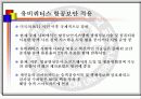 유비쿼터스 항공 보안 13페이지