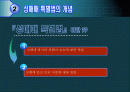 성매매 특별법에 대한 고찰 (발표용 파워포인트) 2페이지