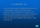 슈퍼비젼과 컨설테이션 13페이지