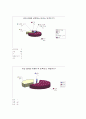 [마케팅전략]비타 500 사례 분석 15페이지