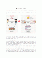 [브랜드전략]싸이월드(Cyworld) 보고서 11페이지