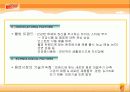 [제품분석]비타( Vita)500 마케팅전략 10페이지