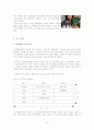 TTL 마케팅 전략 분석과 새로운 마케팅 전략 수립 13페이지