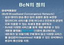 BcN(Broadband_Convergence_Network) 3페이지