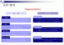 도요타의 렉서스 마케팅 8페이지