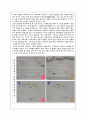 식물의 기공관찰 2페이지