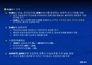 항공특송산업의 경제적 영향과 4대 특송기업의 전략비교 20페이지