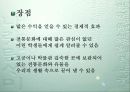 전통문화의 디지털화 46페이지