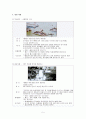 안전사회의 구축 5페이지