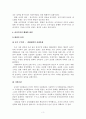 정부의 전시행정적 실태와 해결방안 3페이지