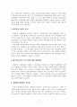 정부의 전시행정적 실태와 해결방안 17페이지