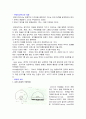 무대 디자인[햄릿의 무대] 4페이지