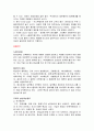 무대 디자인[햄릿의 무대] 28페이지