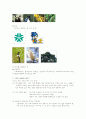 초등 교과 속의 정치와 법 분석 8페이지
