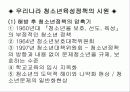 청소년 육성정책 및 제도 11페이지