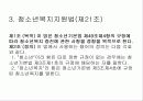 청소년 육성정책 및 제도 29페이지