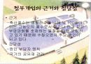 축산폐수관리에 관한 정부실패 3페이지
