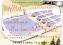 축산폐수관리에 관한 정부실패 4페이지