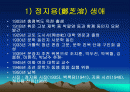 시인 정지용 2페이지