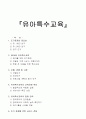 (유아특수교육) 유아특수교육에 관한 고찰 1페이지