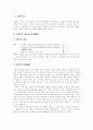 NPT의 의의와 문제점 및 개선방안 2페이지
