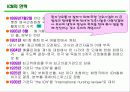 ICN(국제간호사연맹) 3페이지