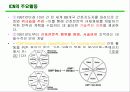 ICN(국제간호사연맹) 9페이지