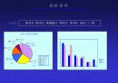 [광고학] 광고속 섹스어필요소분석 16페이지