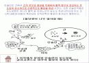 당뇨병이란 13페이지