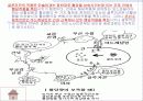 당뇨병이란 16페이지