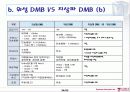 위성 DMB중심의 DMB 24페이지
