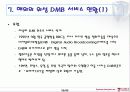 위성 DMB중심의 DMB 25페이지