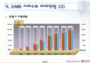 위성 DMB중심의 DMB 47페이지