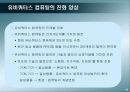 유비쿼터스 컴퓨팅의 비즈니스 모델과 전망 19페이지