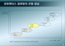 유비쿼터스 컴퓨팅의 비즈니스 모델과 전망 20페이지