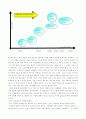 렉서스(Lexus)의 탄생과 성공 포인트 11페이지
