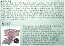[명절] 세시풍속의 정의와 우리나라의 1년 명절 49페이지