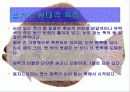 [해양생물학] 넙치(광어)에 대해서 9페이지