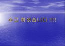 [해양생물학] 넙치(광어)에 대해서 15페이지