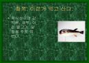[어류 생물학] 복어의 특징과 종류 5페이지